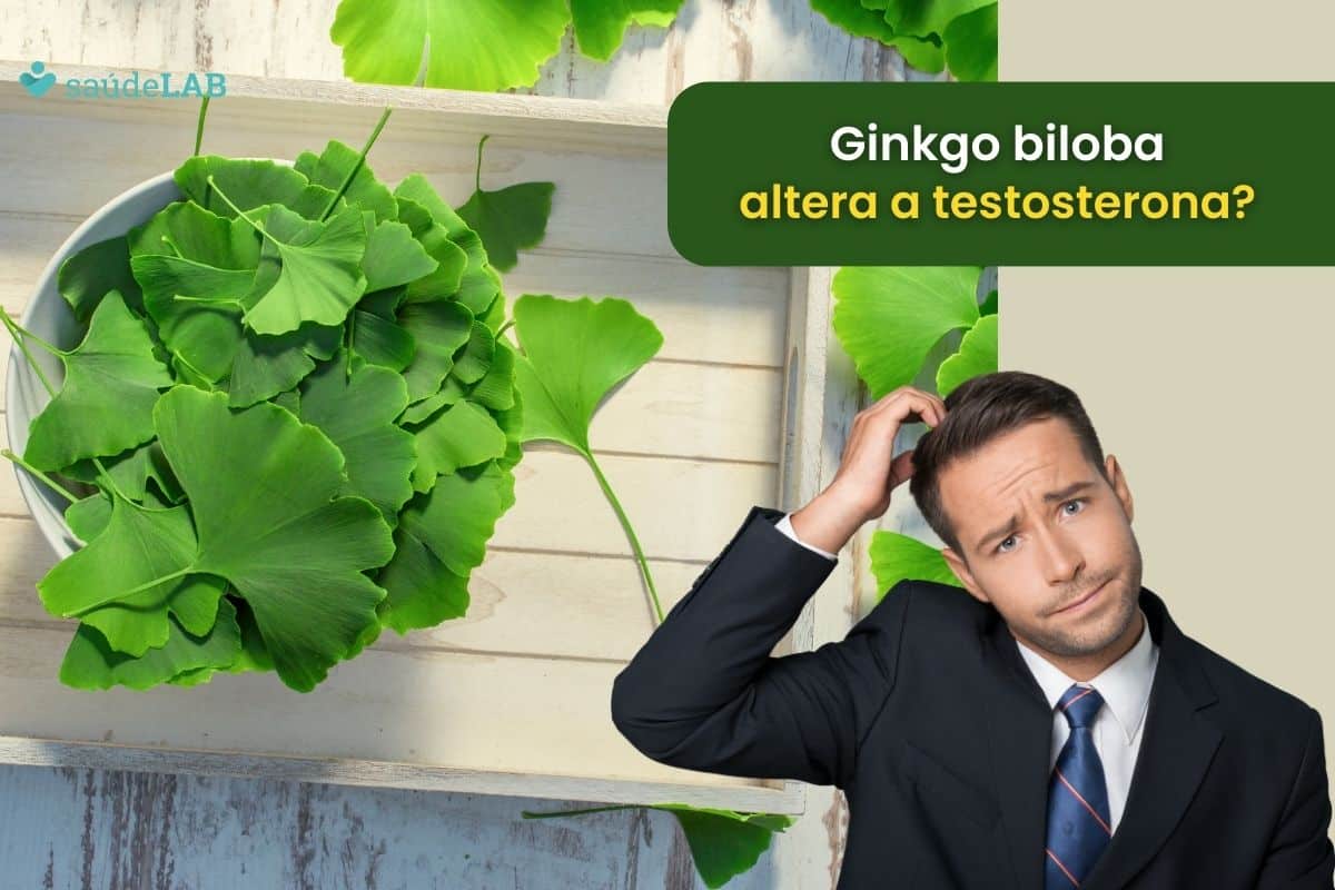 Ginkgo biloba aumenta a testosterona: mito ou verdade? Saiba tudo sobre o assunto 1 ginkgo biloba aumenta a testosterona.