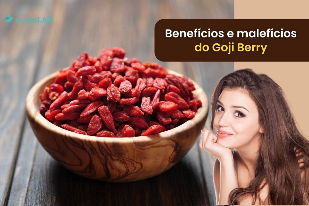 Goji Berry: benefícios e malefícios da fruta que você precisa conhecer imediatamente 1 goji berry benefícios e malefícios.
