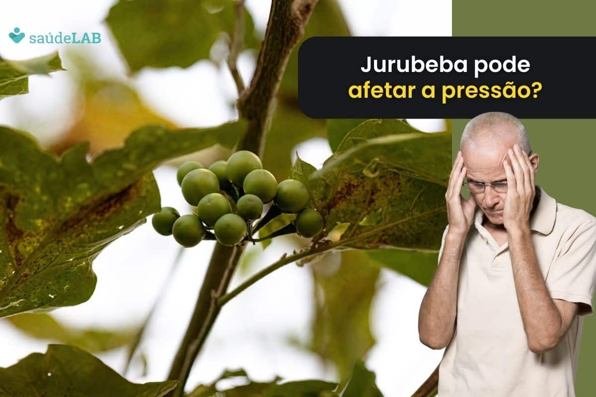 Jurubeba aumenta a pressão arterial mesmo, ou isso é apenas um mito? Entenda 1 jurubeba aumenta a pressão.