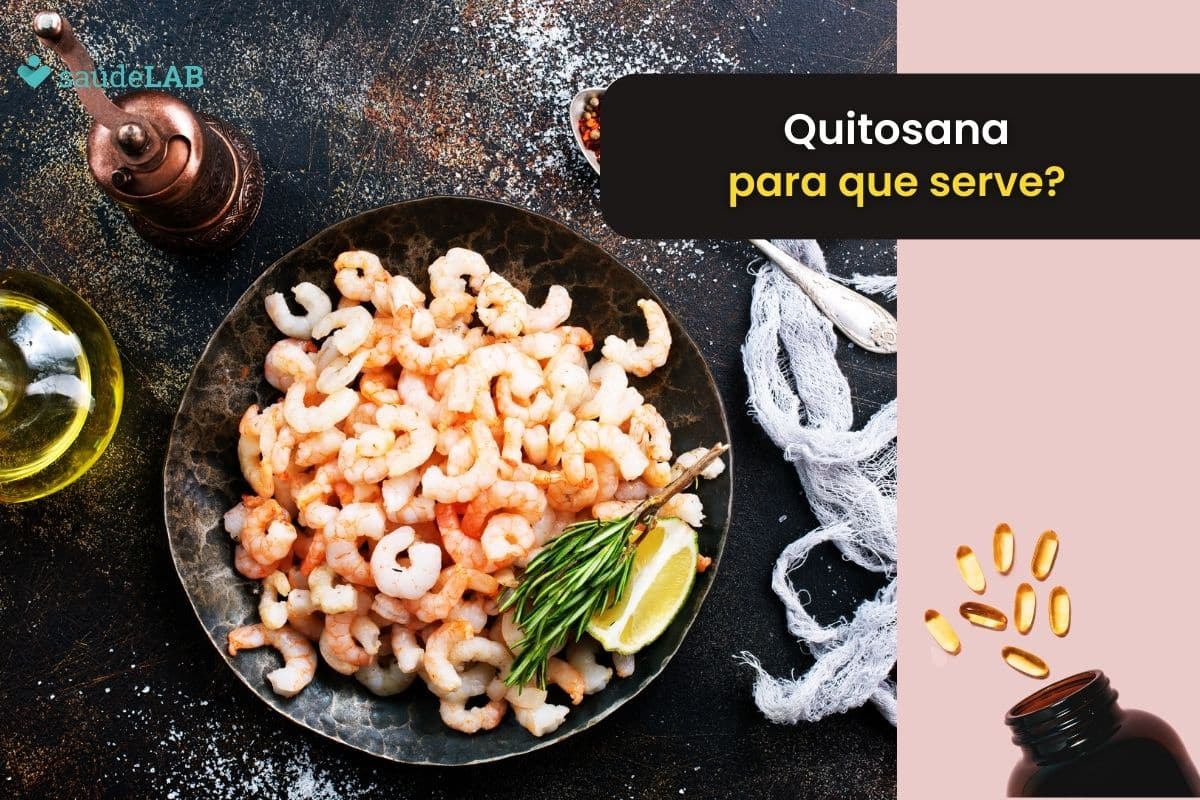 Quitosana: para que serve, quais os riscos e como usar com segurança? 1 Quitosana para que serve.