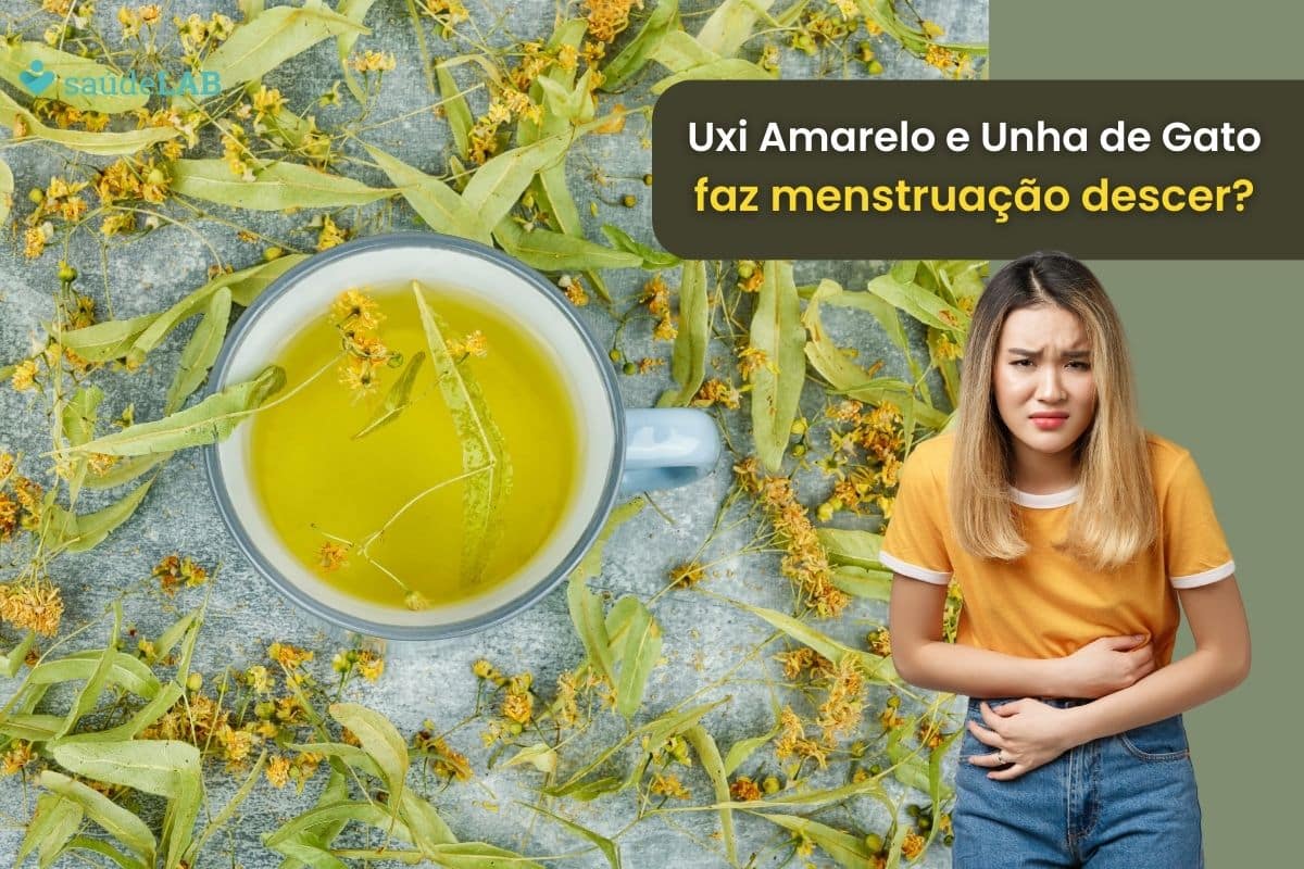 Uxi amarelo e unha de gato faz descer a menstruação? Entenda mais sobre a combinação 1 uxi amarelo e unha de gato faz descer a menstruação