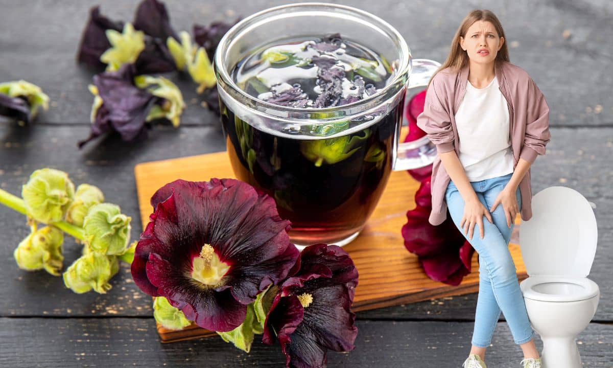 Chá de malva é bom para infecção urinária? Saiba usar com consciência 1 chá de malva é bom para infecção urinária.