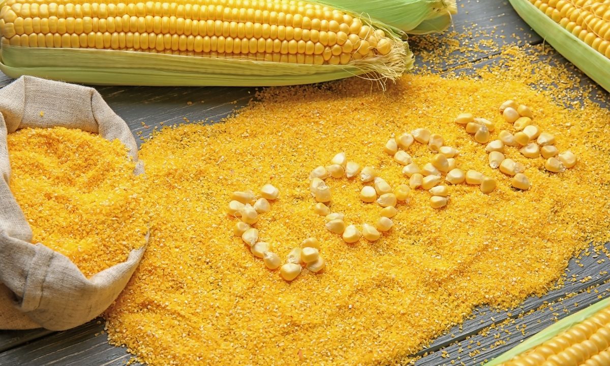 Farinha de milho tem glúten? Descubra as principais características dela 1 Farinha de milho tem glúten.