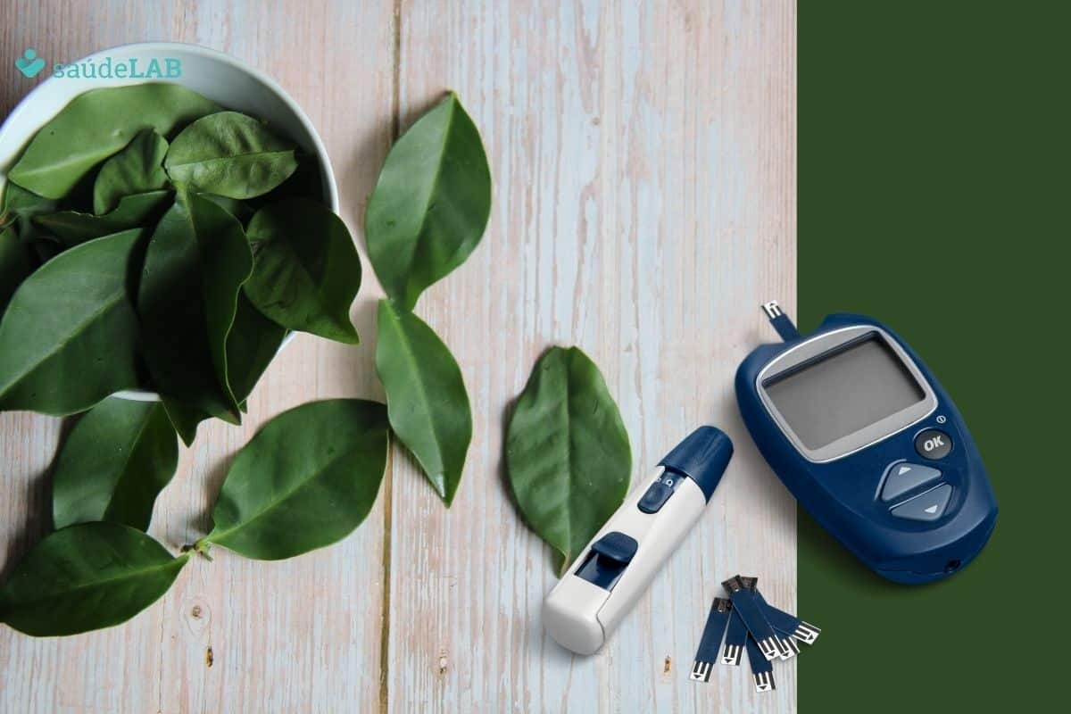 Ora-pro-nóbis é bom para diabetes mesmo? Conheça os seus efeitos 1 ora-pro-nóbis é bom para diabetes.