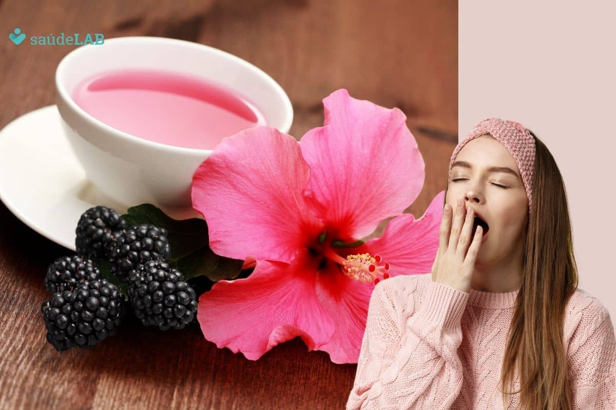 Chá de hibisco com amora dá sono? Entenda os efeitos da combinação 1 chá de hibisco com amora dá sono.