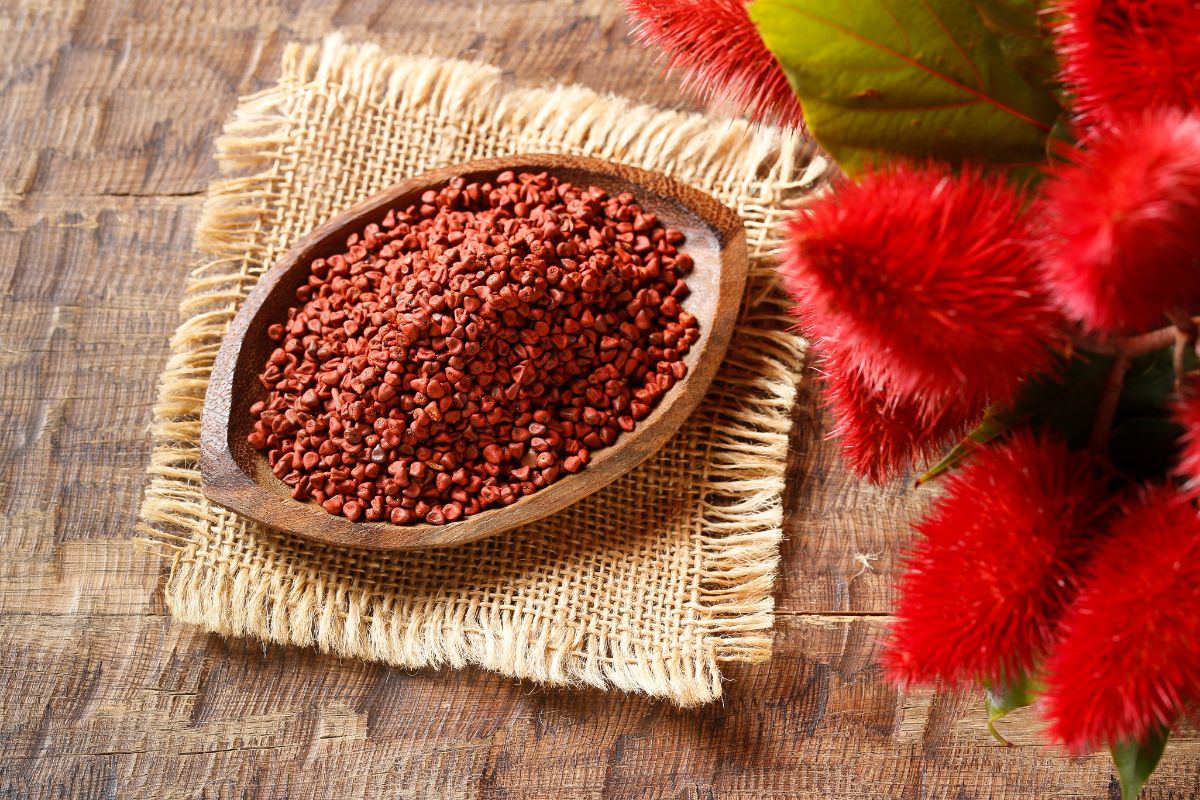 Chá de urucum serve para quê? Saiba como preparar e consumir corretamente 1 chá de urucum serve para que.