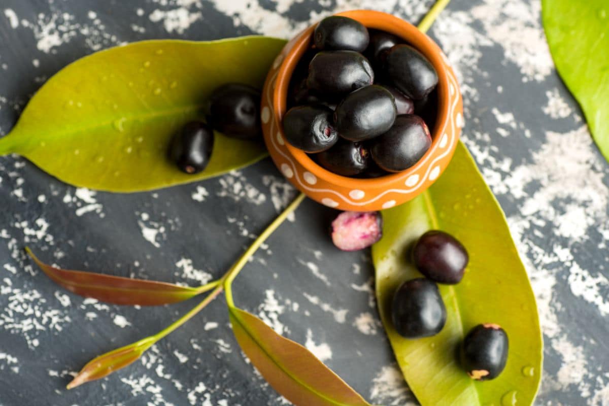 Efeitos colaterais do chá de jambolão: fique atento e não caia em ciladas 1 efeitos colaterais do chá de jambolão.