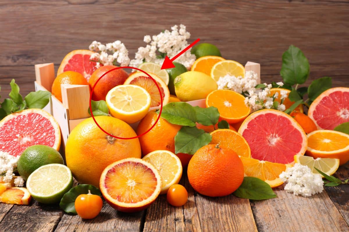 Frutas ácidas: conheça seus principais benefícios, malefícios e efeitos para a saúde 1 Frutas ácidas.