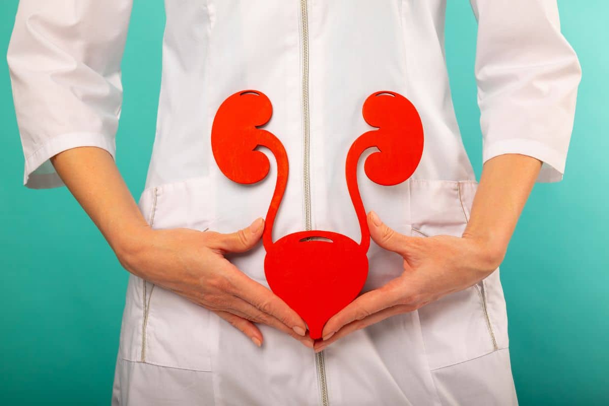 Infecção urinária cura sozinha? Conheça os cuidados indispensáveis 1 infecção urinária cura sozinha.