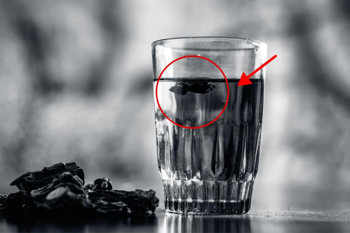 Salsaparrilha limpa o sangue mesmo? Conheça seus efeitos reais 1 salsaparrilha limpa o sangue.