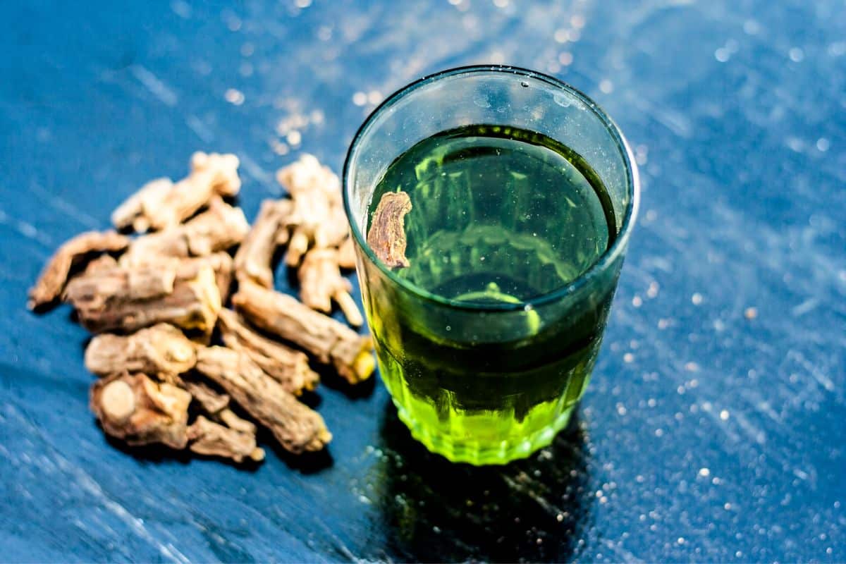 Salsaparrilha: para que serve, benefícios, contraindicações e como usar 1 Smilax officinalis.