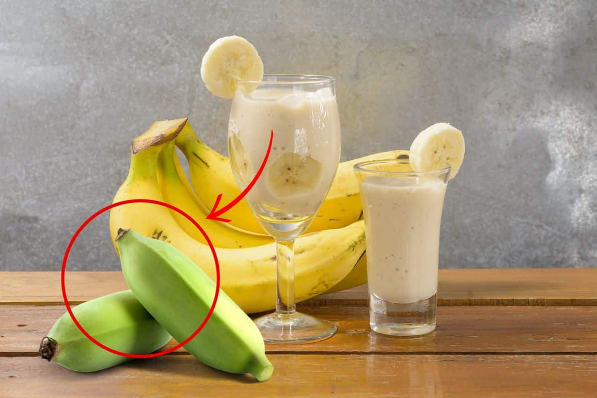 Shot de banana verde para emagrecer funciona? Conheça seus benefícios 1 shot de banana verde para emagrecer.