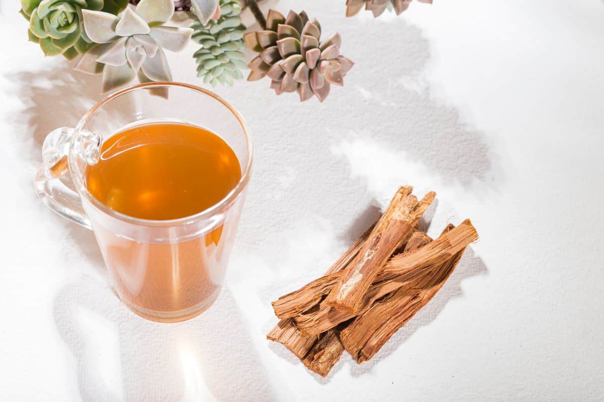 Chá de umburana para o estômago: benefícios e uso correto 1 Chá de umburana para estômago.