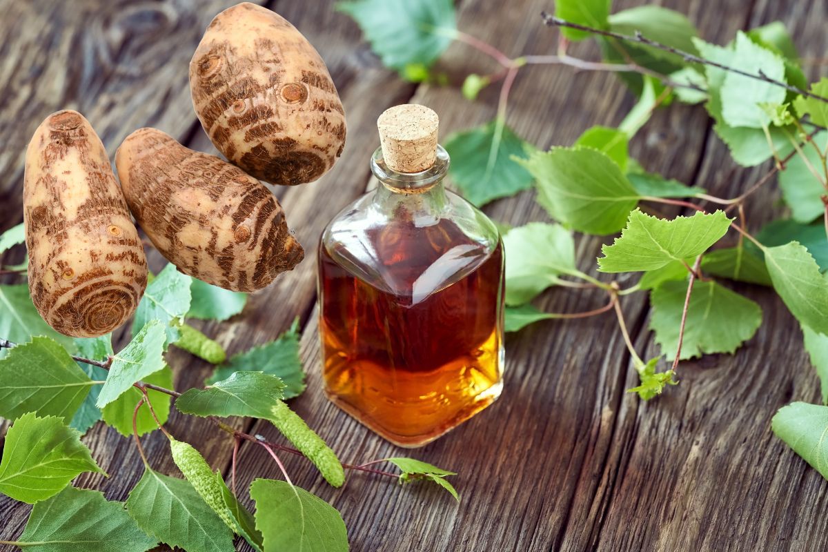 Elixir de inhame: conheça os benefícios, para que serve e como tomar 1 Elixir de Inhame.