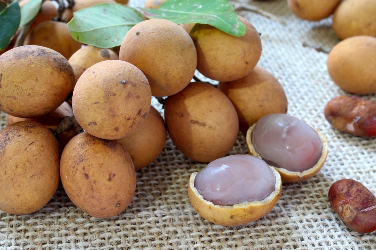 Conhece a Pitomba? Conheça 8 benefícios dessa fruta exótica 1 Pitomba.