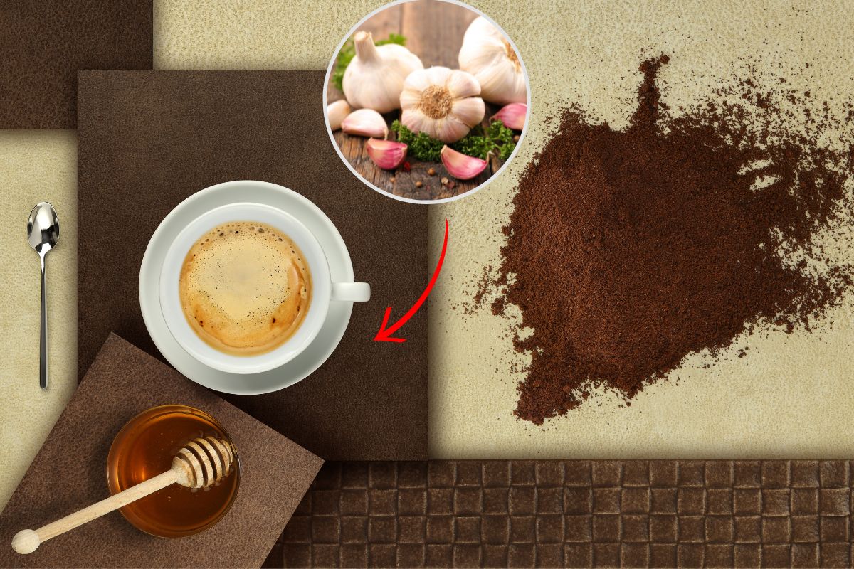 Café com alho e mel: para que serve, como preparar e contraindicações 1 Café com alho e mel.