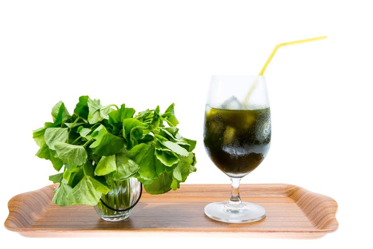 Centella asiática: quanto tempo para fazer efeito? Entenda 1 centella asiática quanto tempo para fazer efeito.