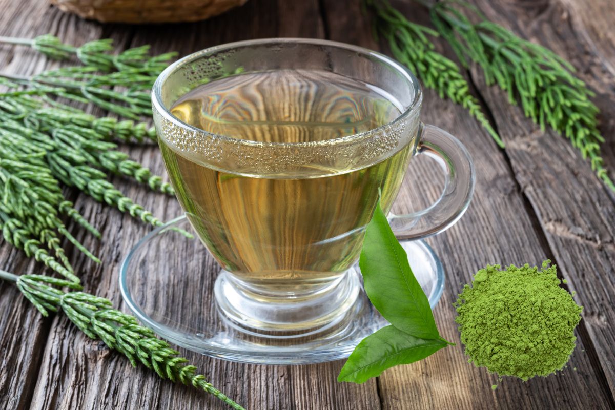 Chá verde com cavalinha: conheça os benefícios da combinação 1 chá verde com cavalinha.