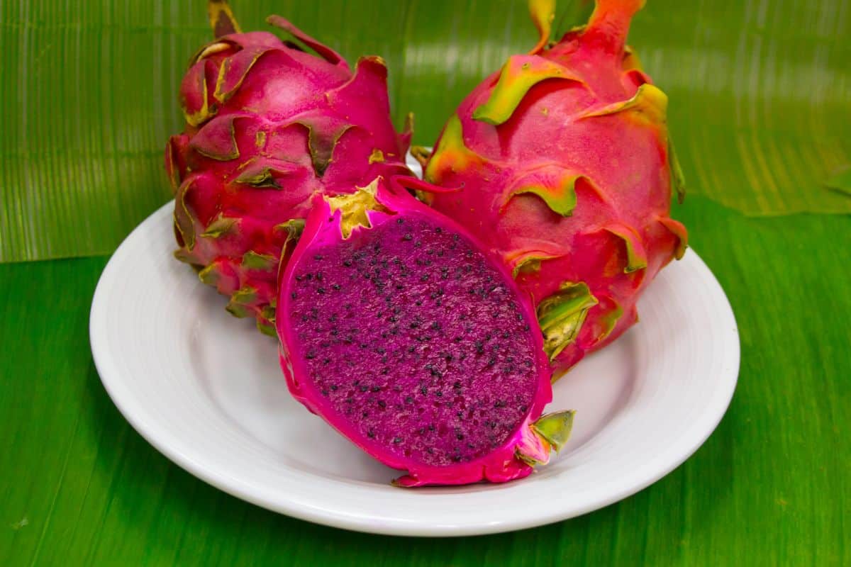 Comer pitaya deixa as fezes vermelhas mesmo? Descubra os fatos e mitos 1 comer pitaya deixa as fezes vermelhas.