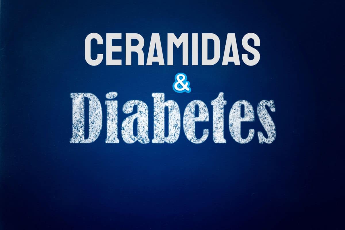 Como eliminar ceramidas do organismo? Entenda sua relação com a diabetes 1 Como eliminar ceramidas do organismo.