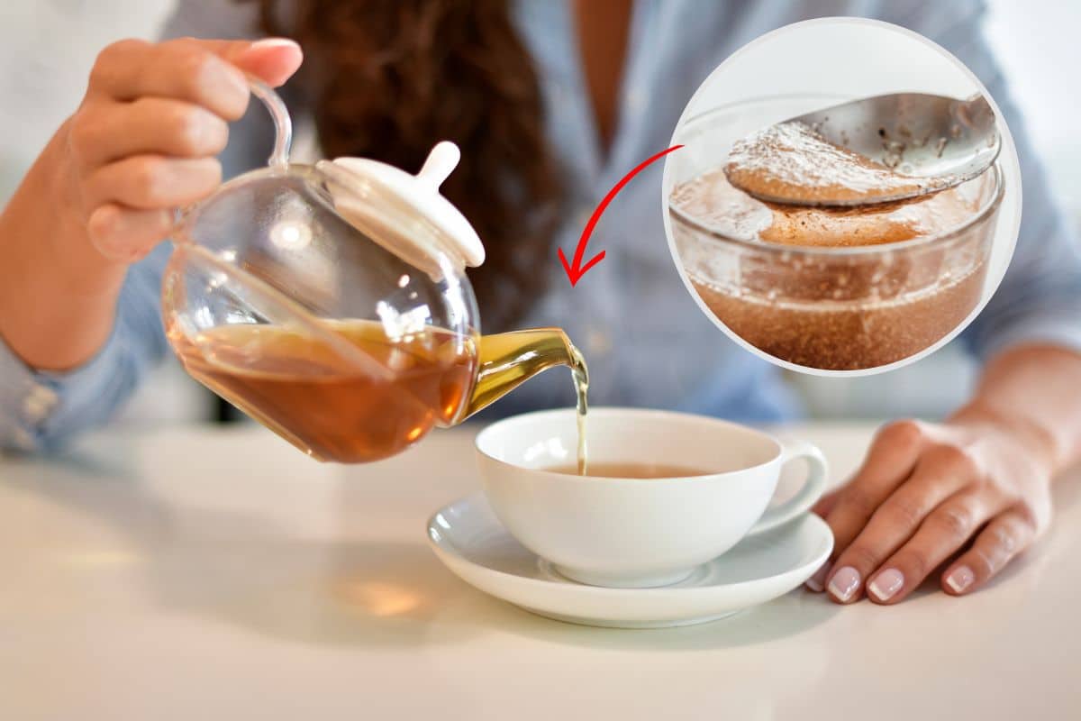 Receita da semente bariátrica funciona mesmo? Conheça 1 Receita da semente bariátrica.