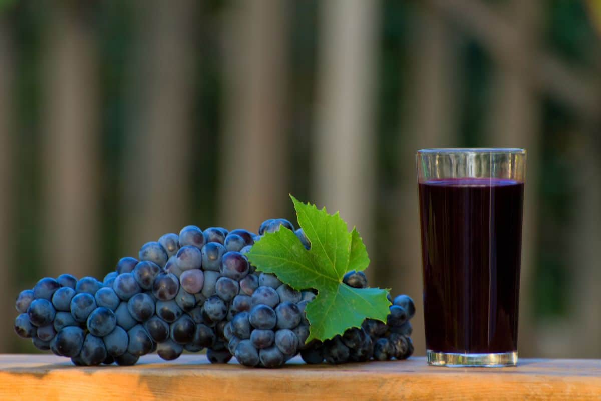 Suco de uva integral antes de dormir é uma boa ideia? Entenda 1 Suco de uva integral antes de dormir.