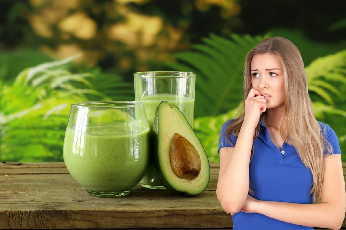 Vitamina de abacate engorda? Solta o intestino? Descubra 1 Vitamina de abacate engorda.