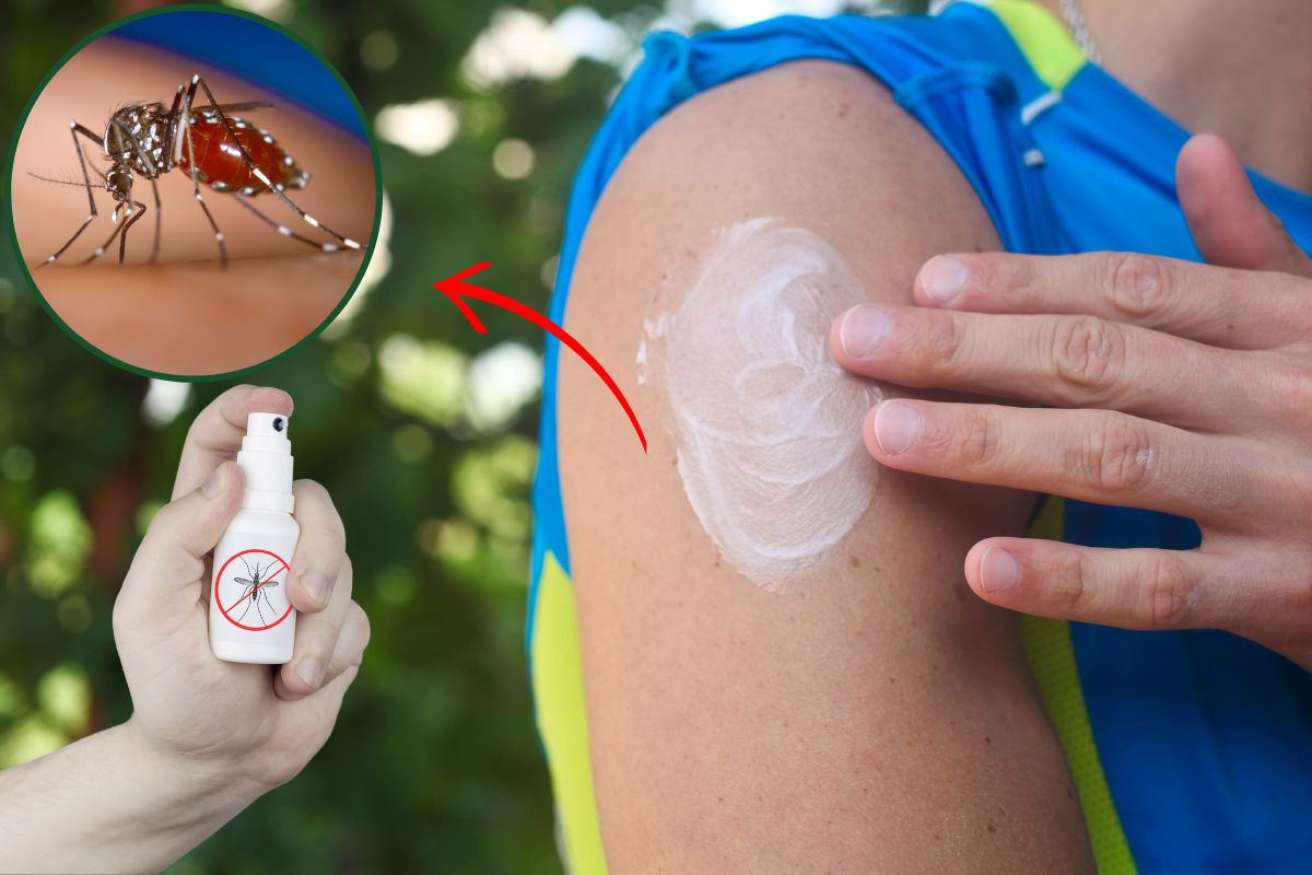 Repelente caseiro com creme hidratante: uma solução natural e eficaz 1 Repelente caseiro com creme hidratante.