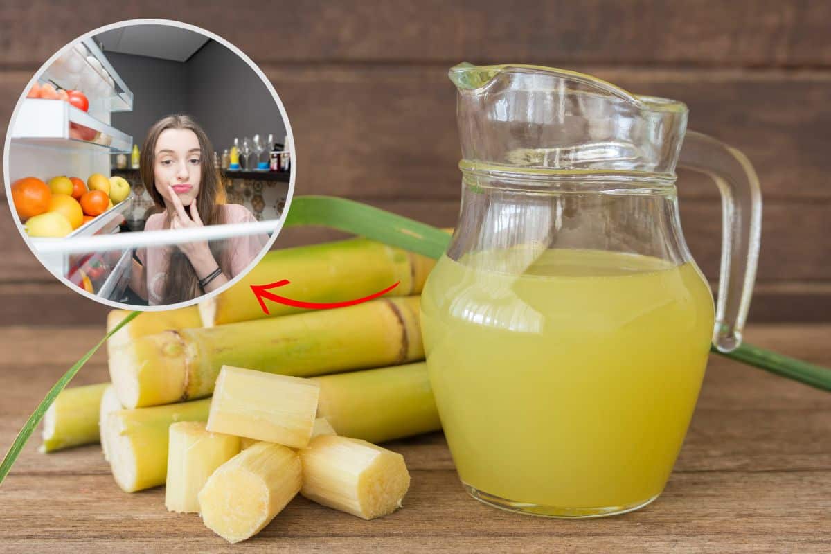 Caldo de cana dura quanto tempo na geladeira? E fora? Pode congelar? Descubra! 1 Caldo de cana dura quanto tempo na geladeira.