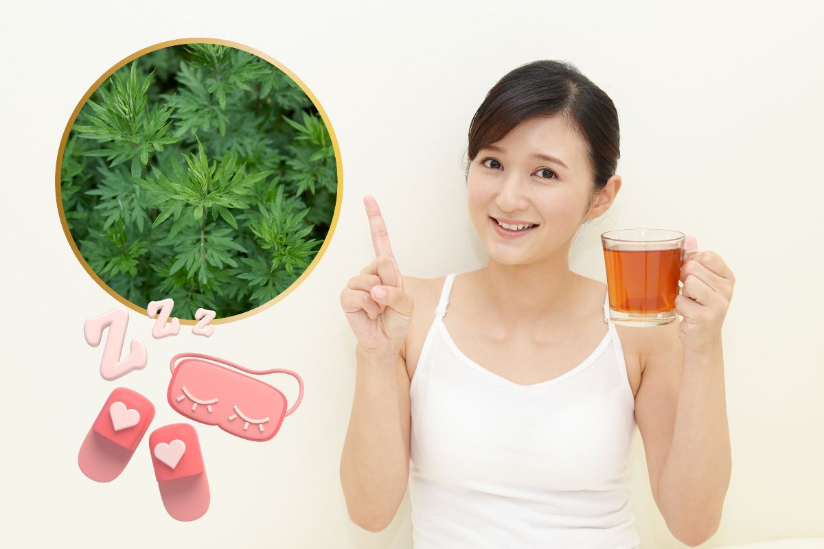 Chá de artemísia antes de dormir: benefícios, preparo e cuidados essenciais 1 chá de artemísia antes de dormir.