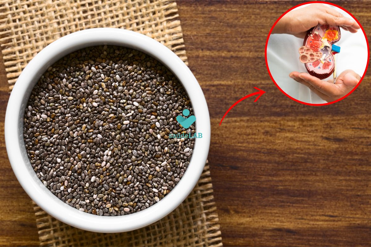 Chia faz mal para os rins? Mitos e verdades sobre o consumo 1 chia faz mal para os rins.