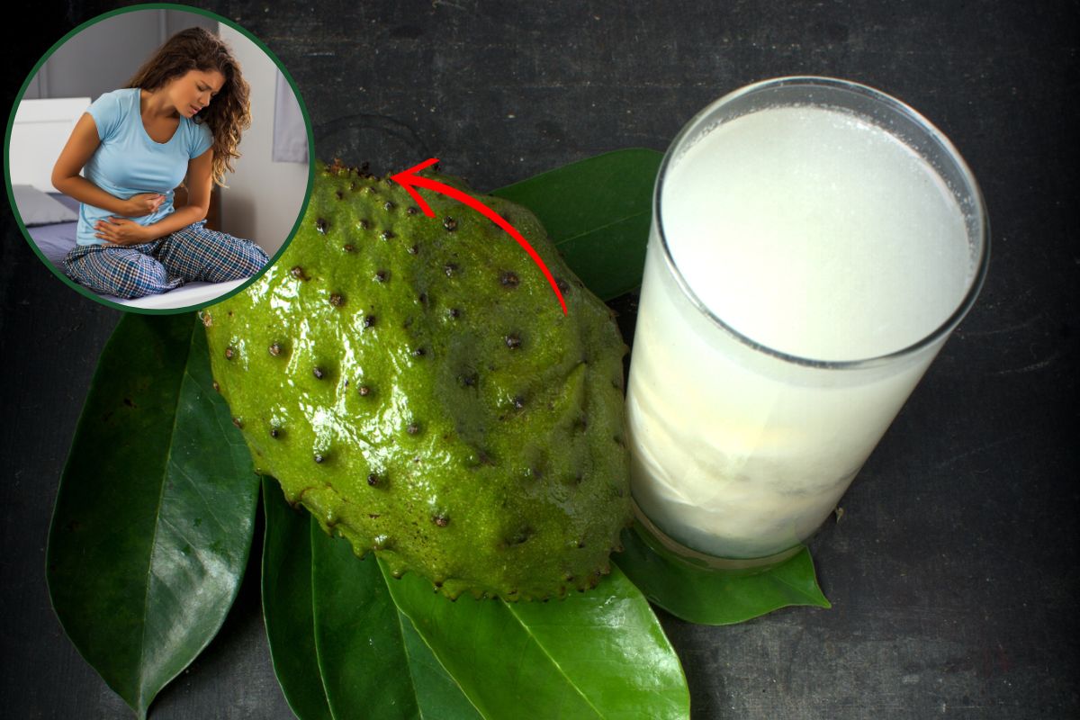 Suco de graviola faz mal para o estômago? Entenda seus verdadeiros efeitos 1 suco de graviola faz mal para o estômago.