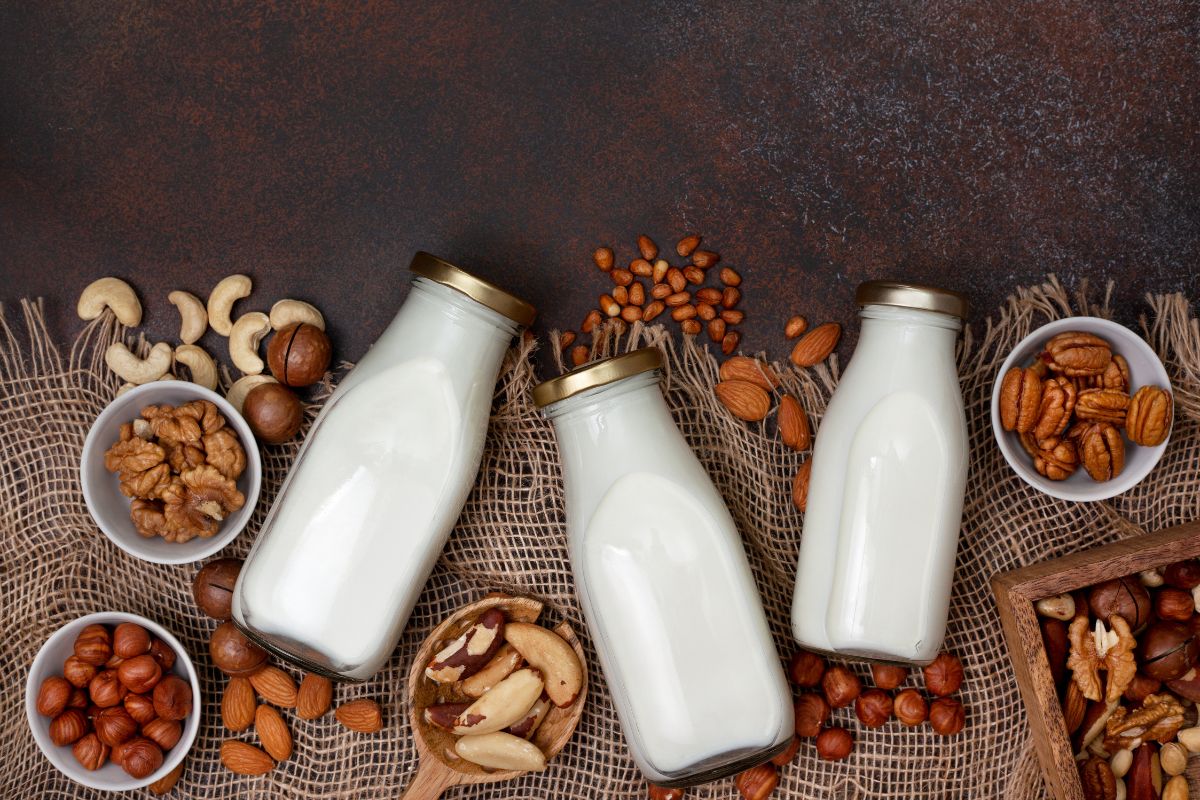 Leite Vegetal: benefícios, desvantagens e como fazer o seu 1 leite vegetal.