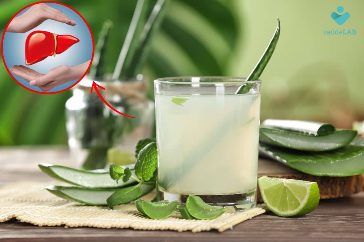 Aloe vera faz mal para o fígado? Entenda os efeitos colaterais da babosa 1 aloe vera faz mal para o fígado.