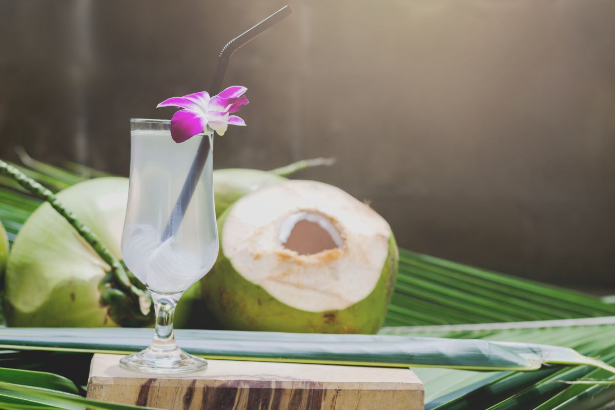 Os benefícios da água de coco são incríveis: conheça 1 benefícios da água de coco.