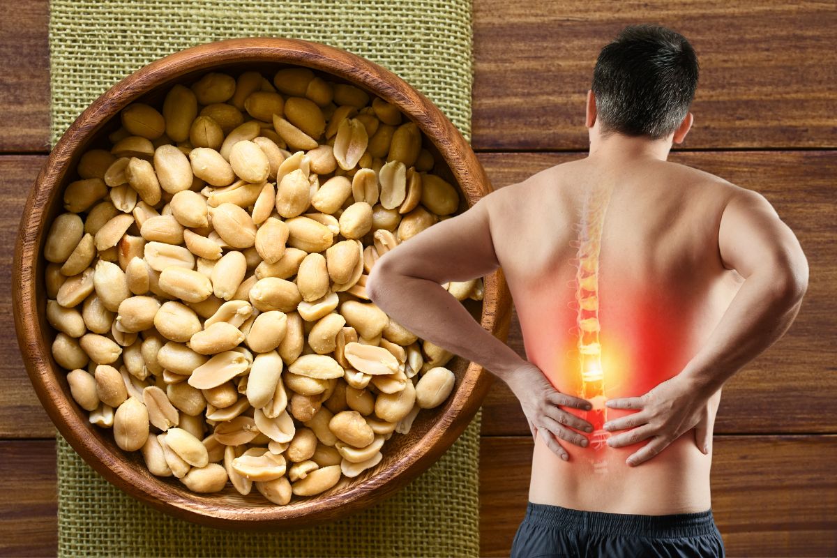 Amendoim é inflamatório? Entenda seus efeitos no organismo 1 amendoim é inflamatório.