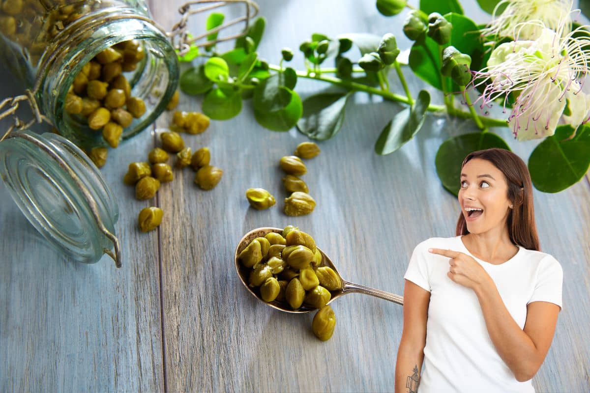 12 benefícios da alcaparra: origens e usos culinários (com receita) 1 benefícios da alcaparra.