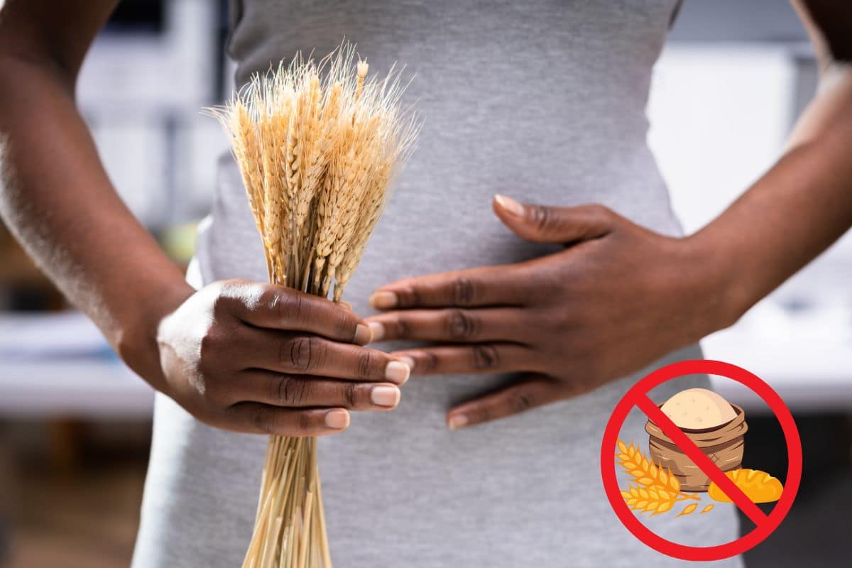 O que é "barriga de trigo"? Descubra os efeitos do consumo excessivo de glúten 1 barriga de trigo.