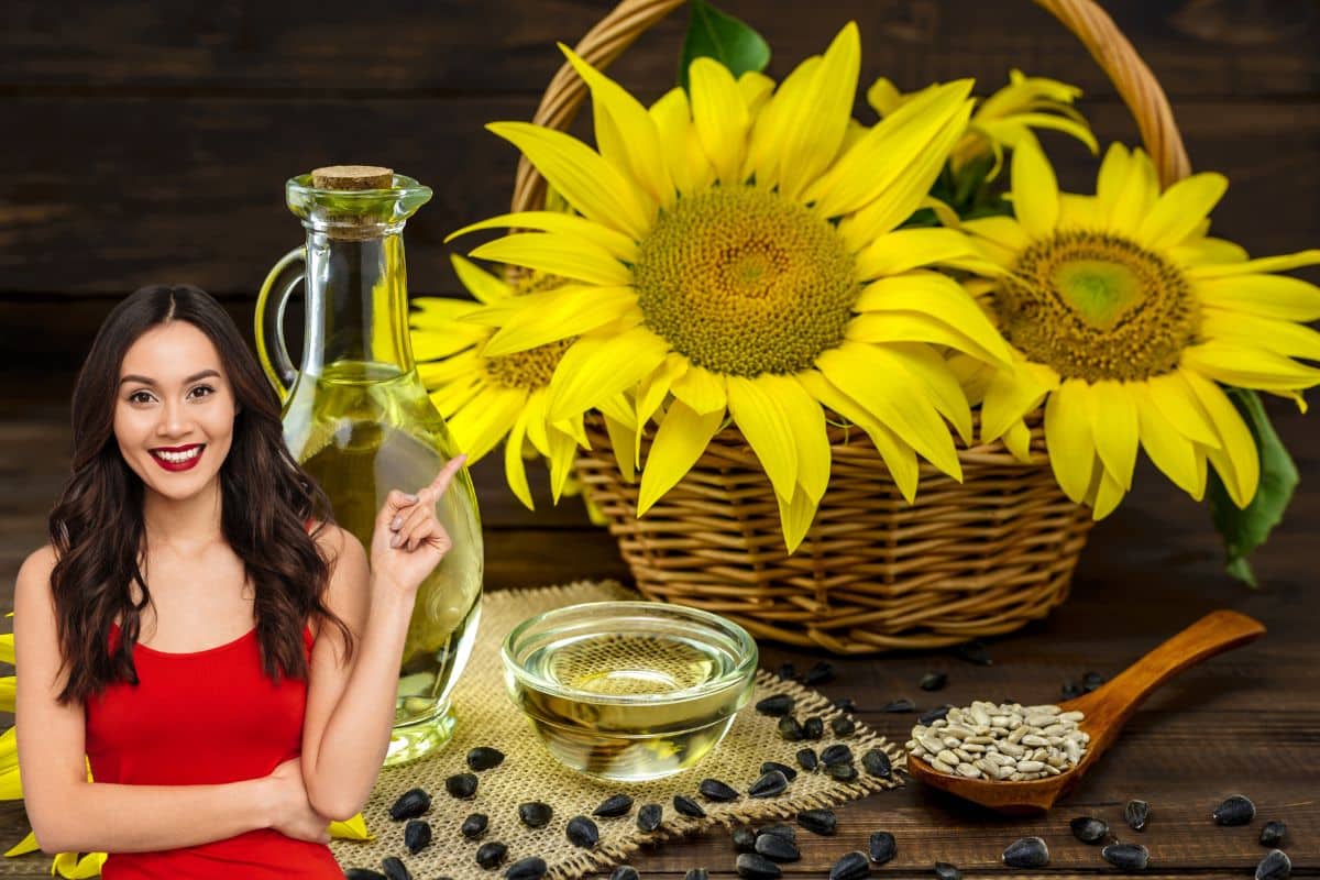Semente de girassol: 6 benefícios, cuidados e formas de consumir 1 semente de girassol.