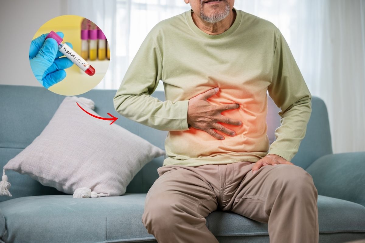 O que é H. pylori? Causas, complicações e tratamento 1 H. pylori.