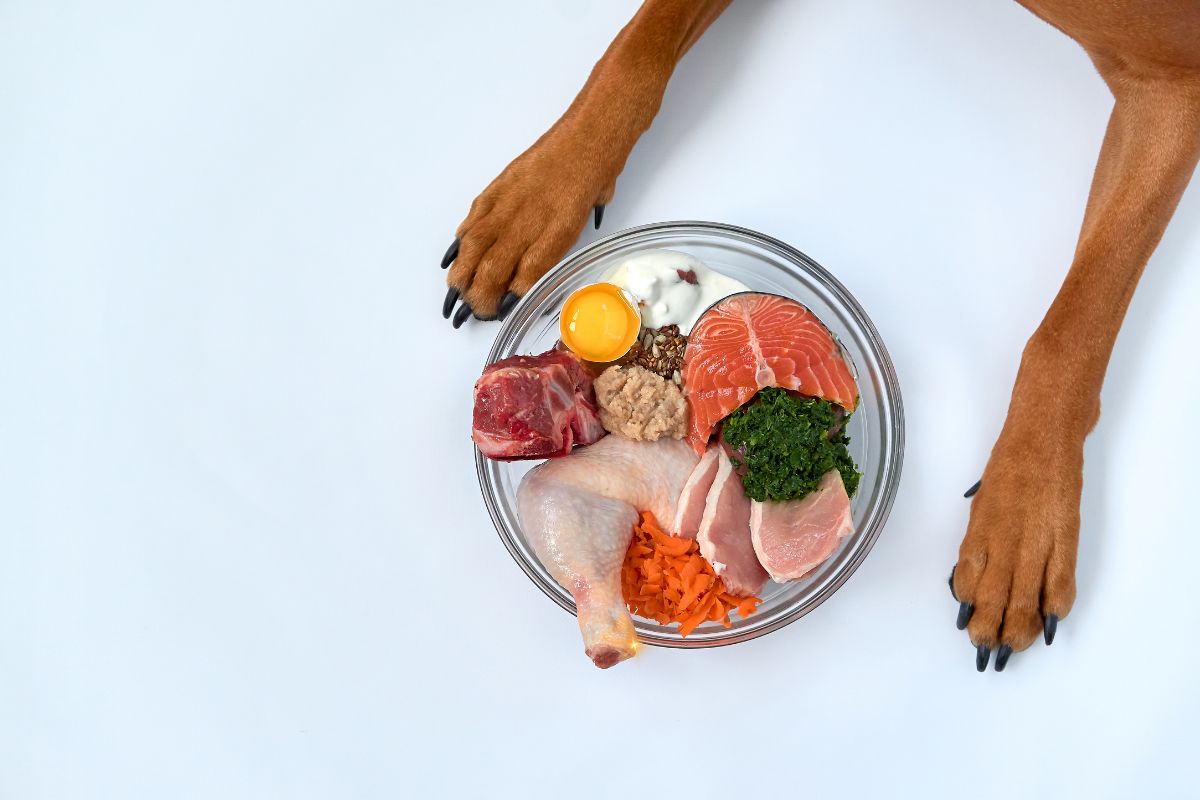 10 alimentos naturais para cachorros: conheça os mais recomendados 1 alimentos naturais para cachorro.