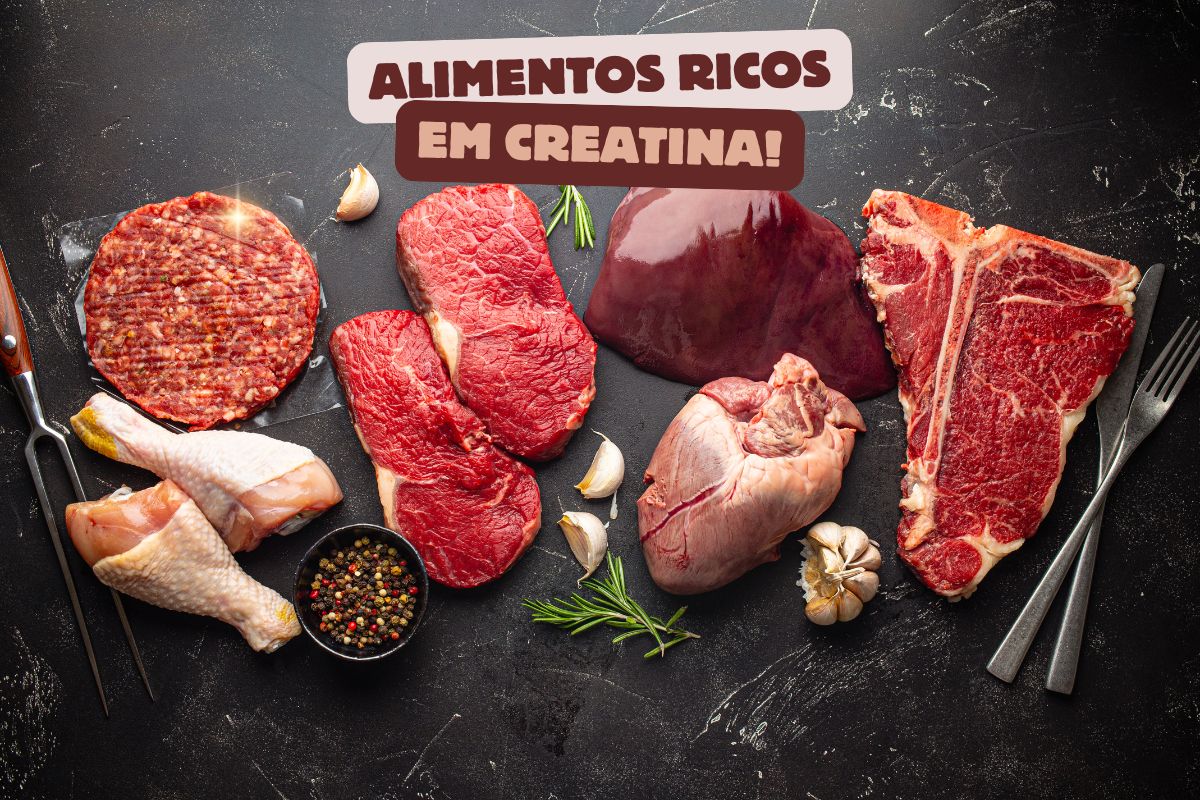 Alimentos ricos em creatina: veja as melhores opções 1 Alimentos ricos em creatina.