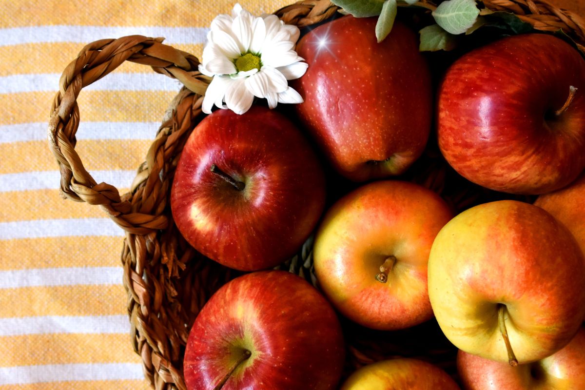 Nutrientes da maçã: conheça a composição nutricional e seus benefícios 1 Nutrientes da maçã.