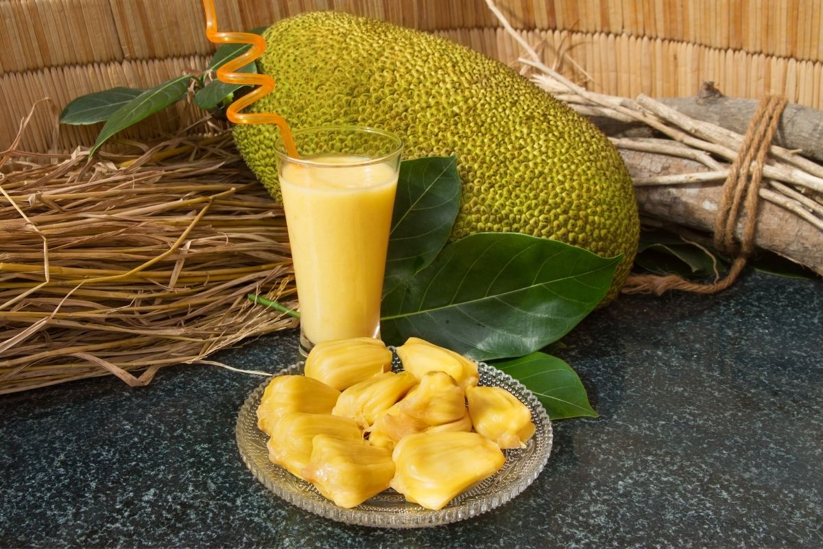 Suco de jaca: faz bem para saúde e tem um sabor incrível 1 Suco de jaca.