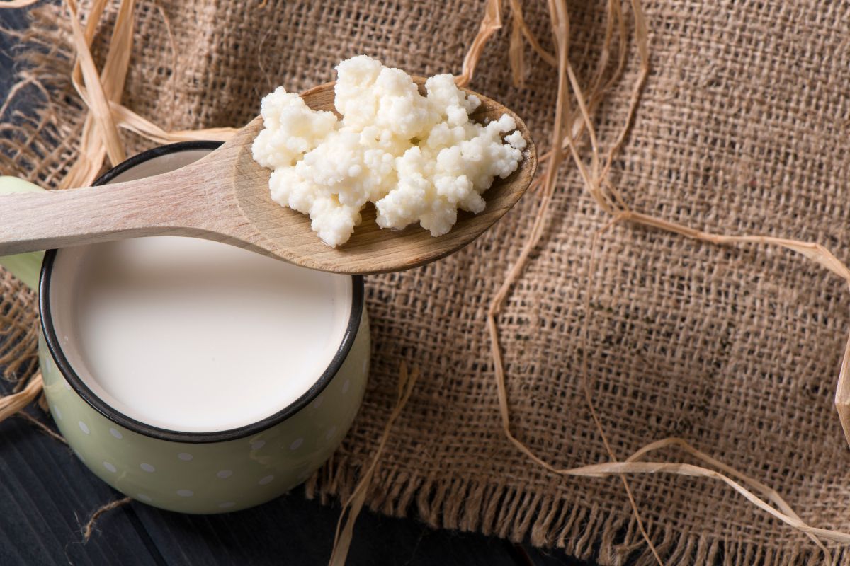 Kefir: o superalimento que revoluciona a saúde do corpo e da mente 1 Kefir.