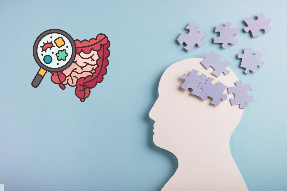 Infecção intestinal crônica pode desempenhar papel na progressão da doença de Alzheimer: aponta estudo 1 Alzheimer