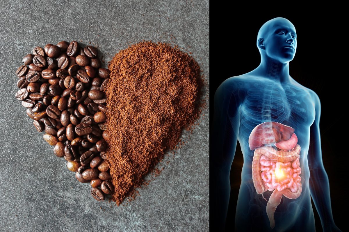 Estudo comprova os benefícios do café para a saúde intestinal 1 Benefícios do café para saúde intestinal.