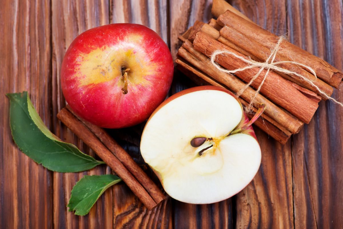 A magia da maçã com canela: combinação sensacional para sua saúde 1 maçã com canela.
