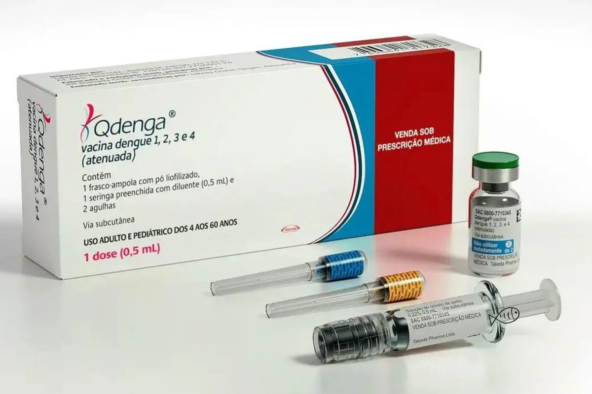 Quem pode tomar a vacina da dengue? Pesquisadores alertam sobre novos surtos da doença 1 Quem pode tomar a vacina da dengue.
