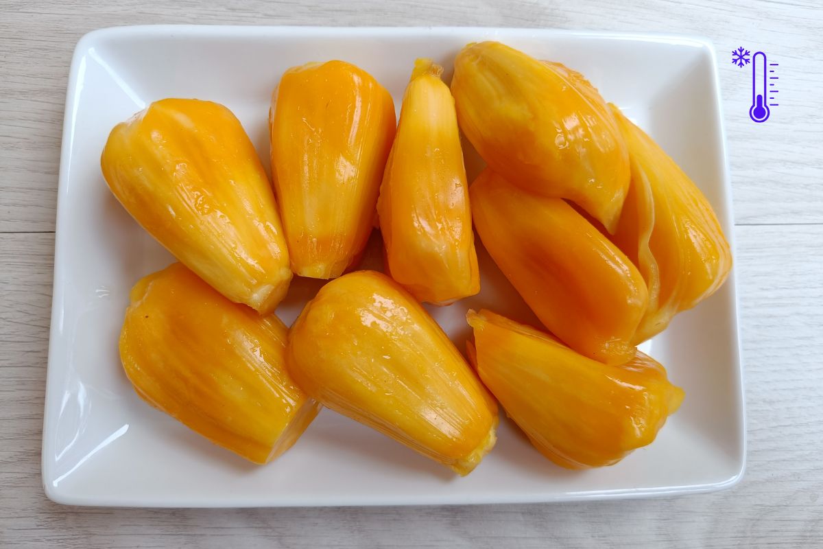 Pode congelar jaca? Descubra o jeito certo de conservar a fruta por mais tempo 1 Pode congelar jaca.